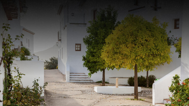 4-CORDOBA
